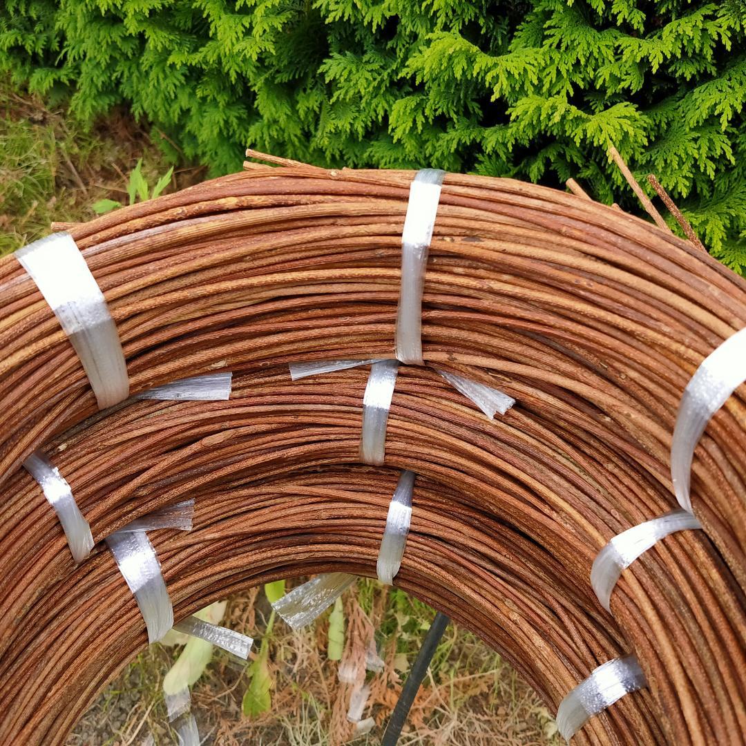 みっくん　青森県岩木山採取　あけび蔓　150cm～　3kg