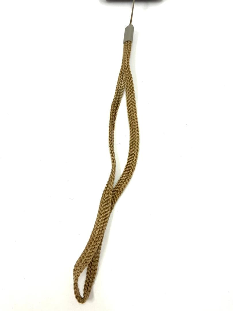 25M10-241 RICOH リコー カプリオ Caplio R5 デジカメ