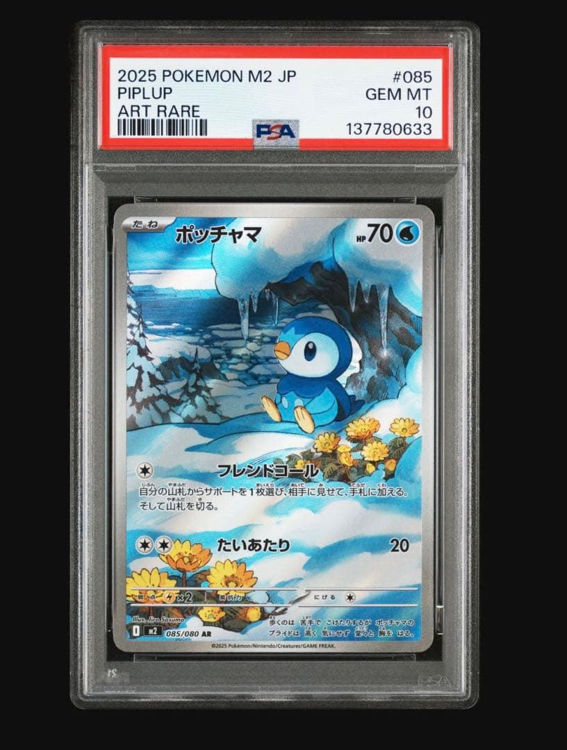 AR PSA10まとめ売りフシギダネ(連番)、バシャーモ、ポッチャマ、ツタージャ