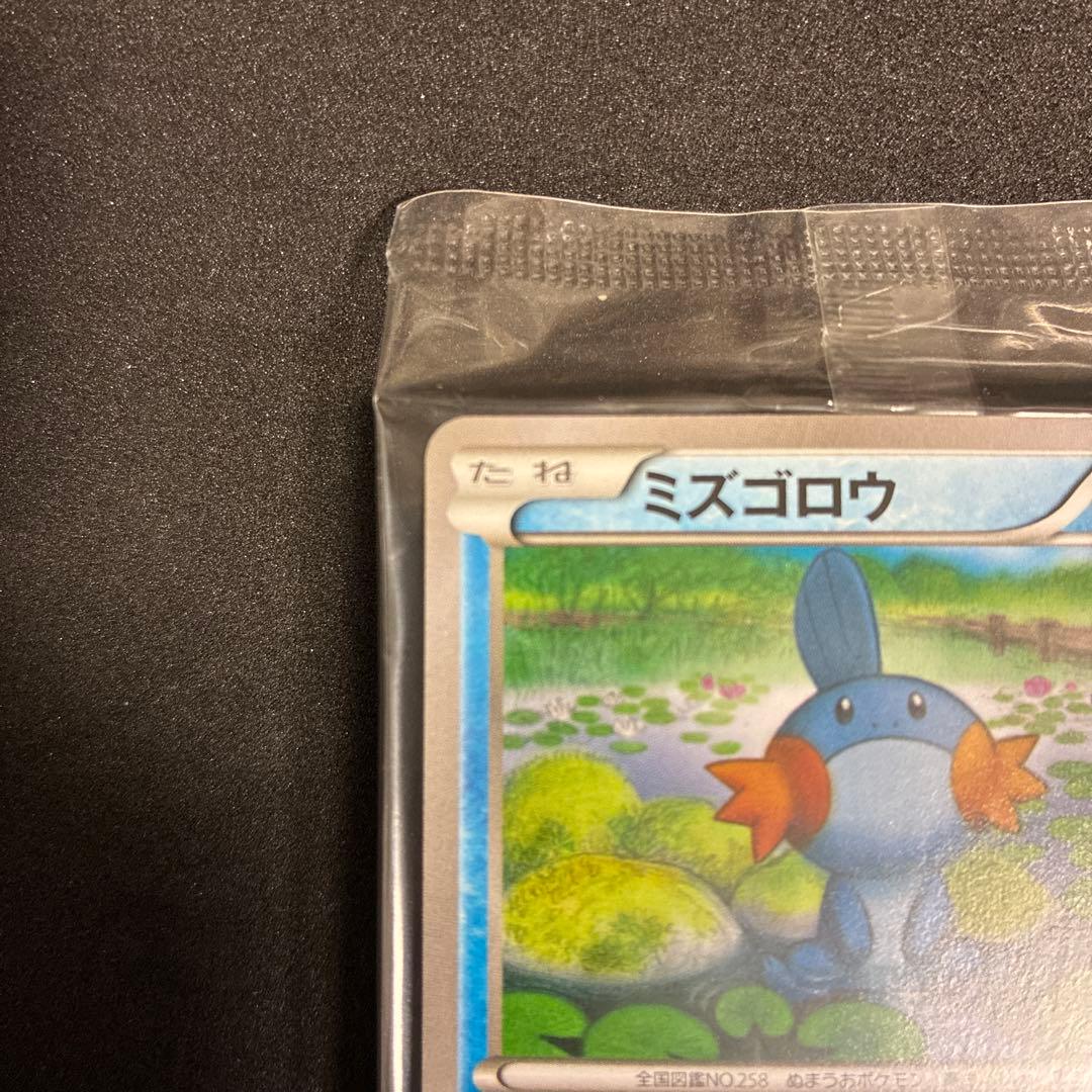 ポケモンカード ミズゴロウ プロモ 109/XY-P 2015 未開封 コンビニ