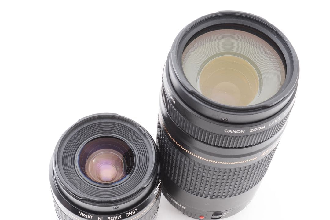 ☆キャノン☆Canon EOS 5D MarkIII標準&望遠ダブルレンズセット