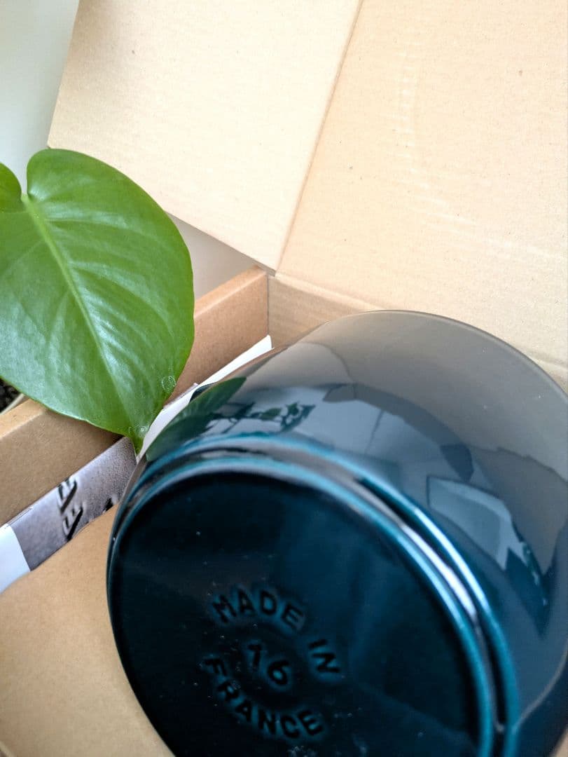 【公式ストア購入】STAUB ラメール ココットデゴハン 16cm 2合 真鍮