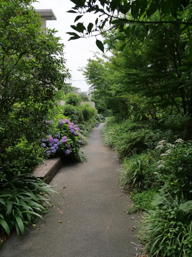 【良品】LUMIX 7-14mm f/4 ASPH. 超広角ズームレンズ