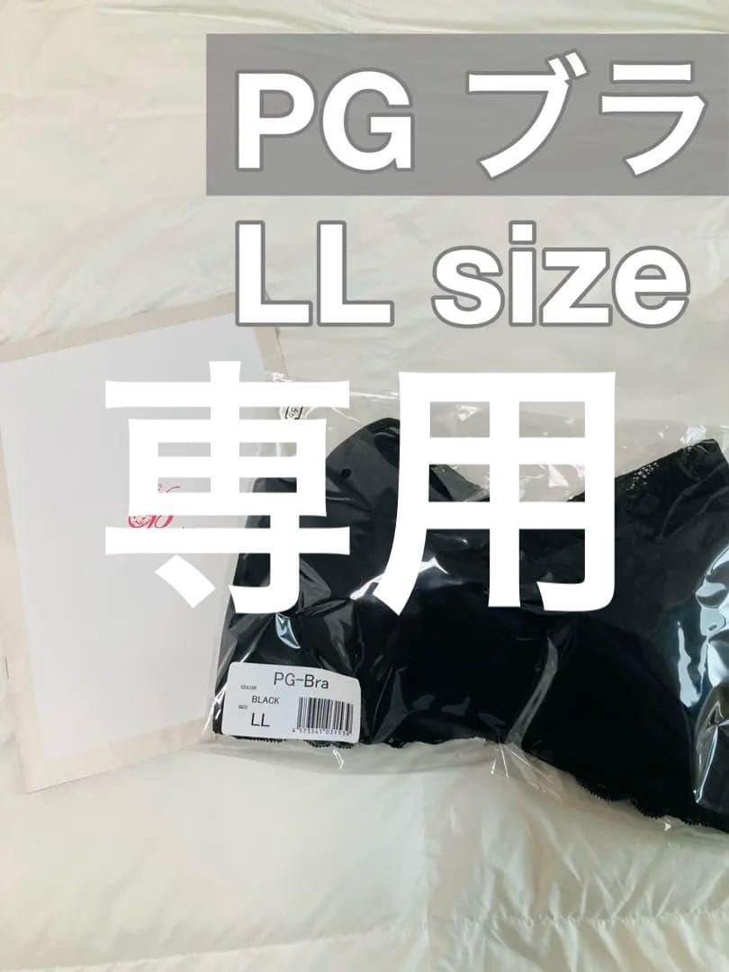 PGブラ　益若つばさ　ナイトブラ　ブラック　LL