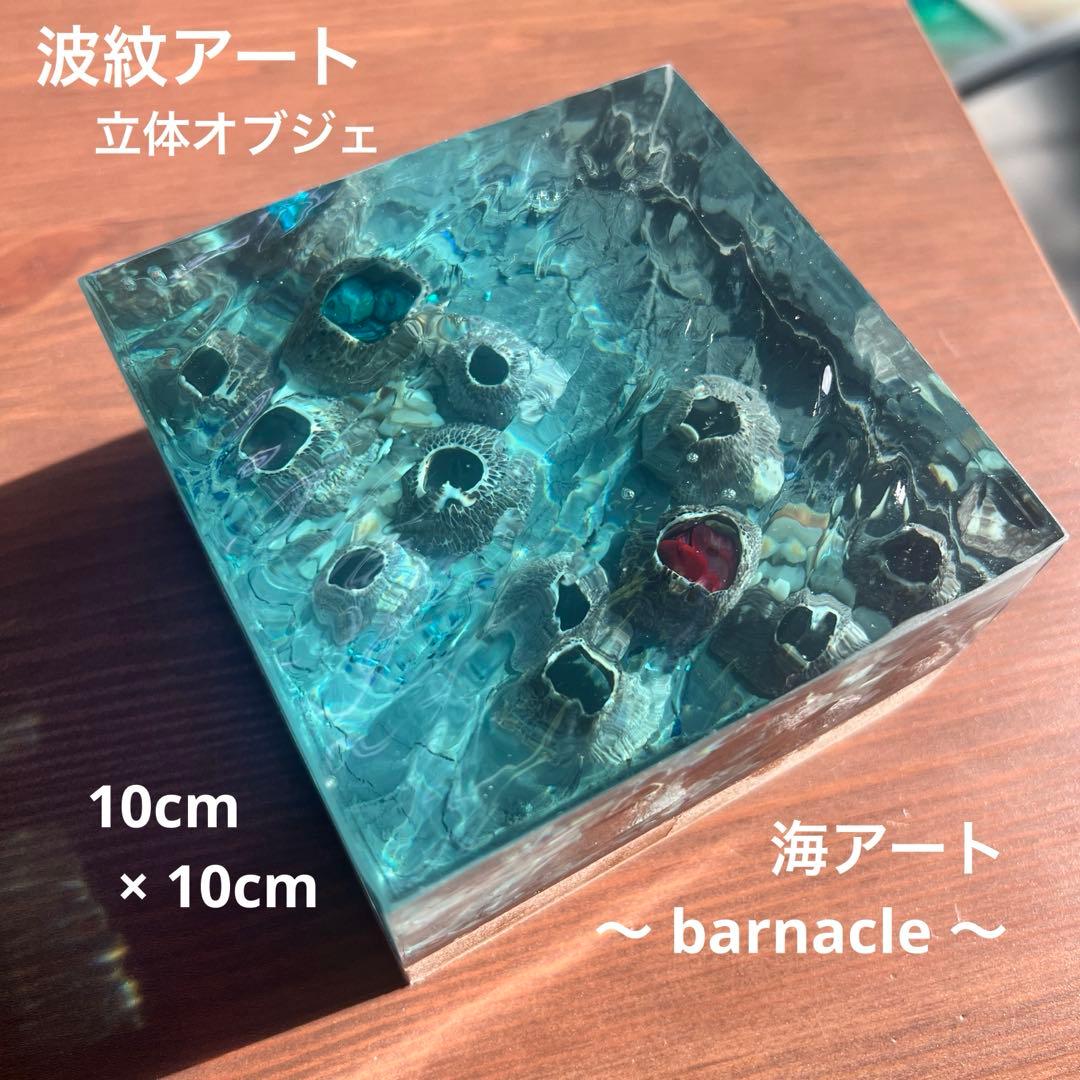 【波紋アート】フジツボアート／barnacle／オブジェ／10cmプリズム