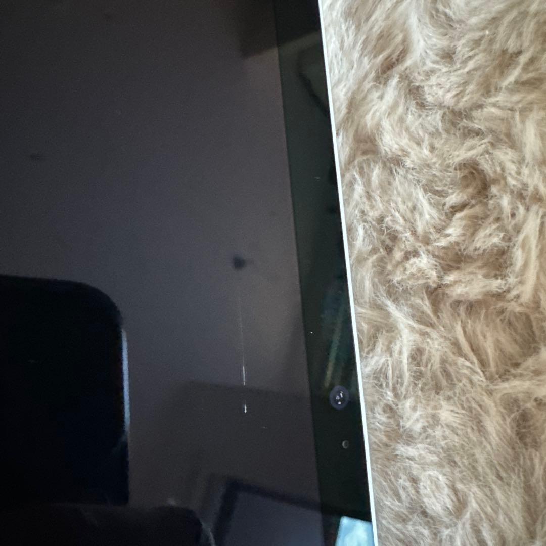 iPad Pro 第3世代　512GB