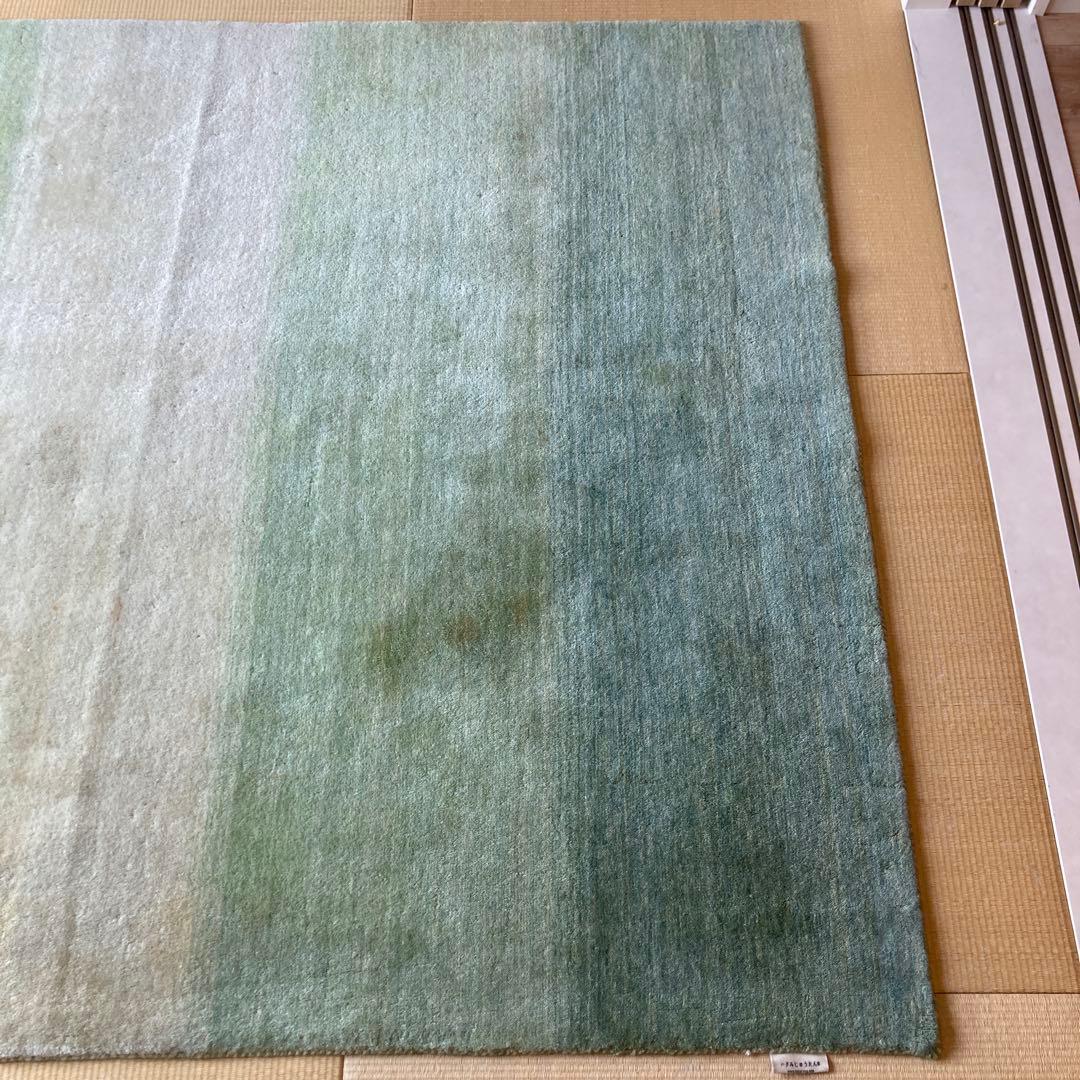 ハグみじゅうたん　グリーン系