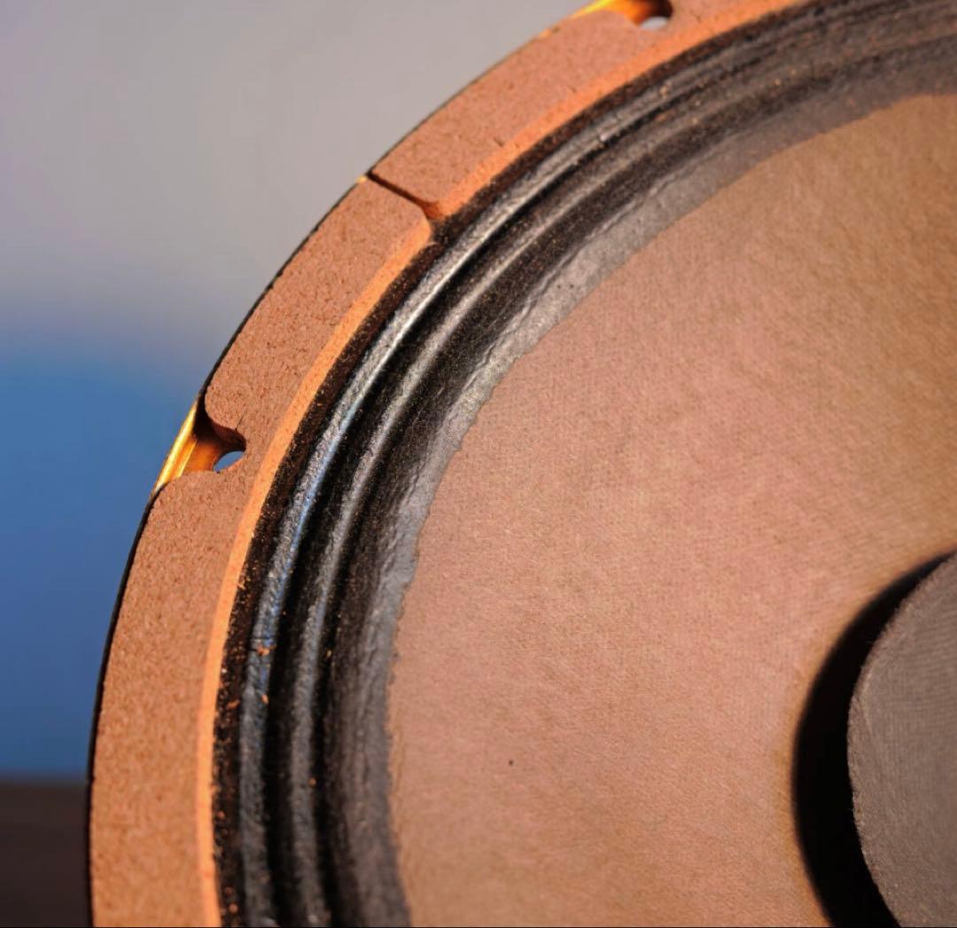 貴重稀品! PHILIPS AD1250 AlNiCo仕様 12インチフルレンジ