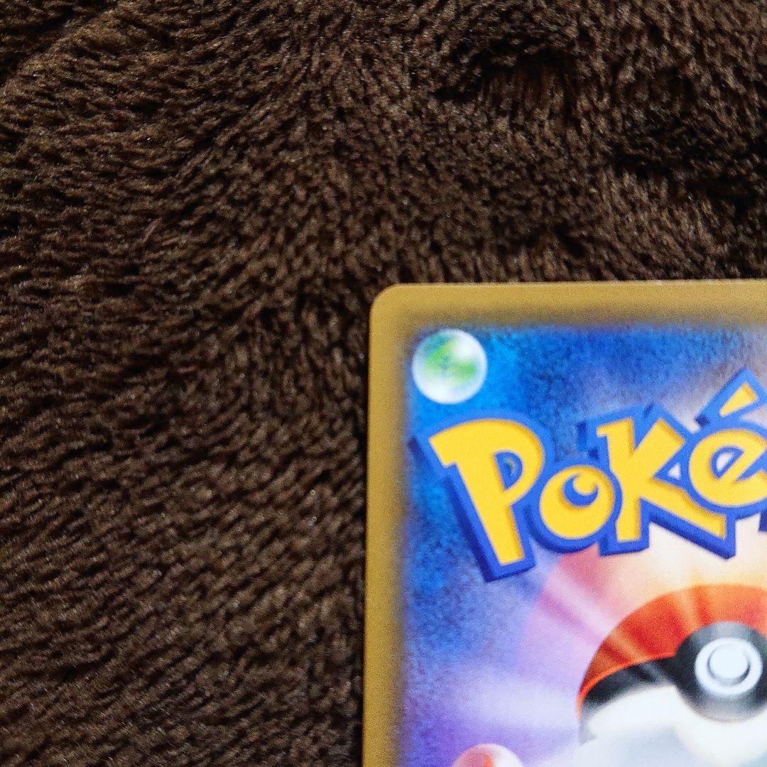 ポケモンカードゲーム ナタネ SR 070/066