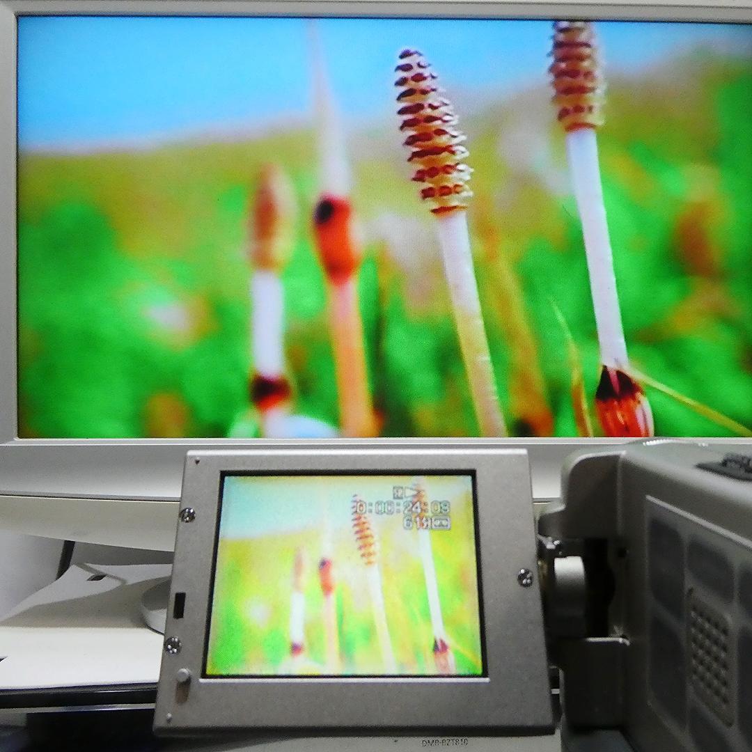 動作品 ソニー DCR-PC7 MiniDV ビデオカメラ ダビングに最適 !