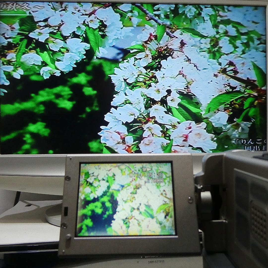 動作品 ソニー DCR-PC7 MiniDV ビデオカメラ ダビングに最適 !