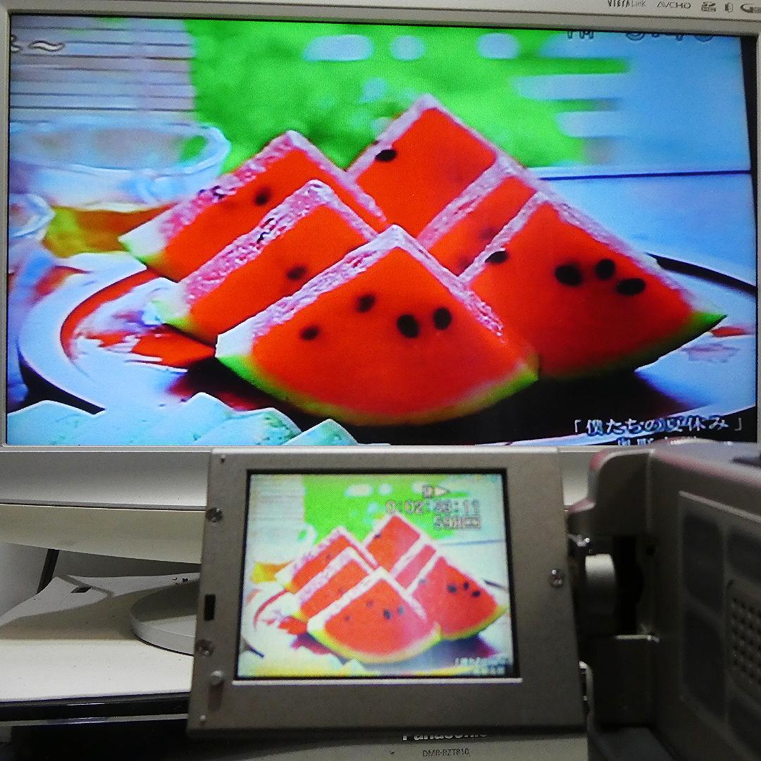 動作品 ソニー DCR-PC7 MiniDV ビデオカメラ ダビングに最適 !