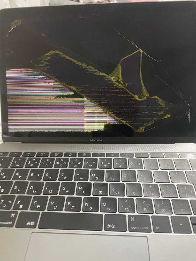 MacBook (Retina, 12-inch 2016) ジャンク