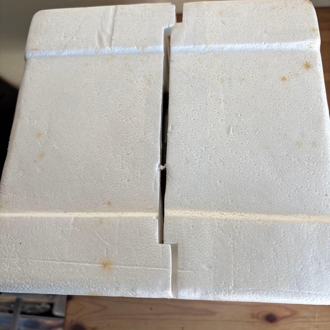 クリスマス スノードーム オルゴール付き　KIRKLAND