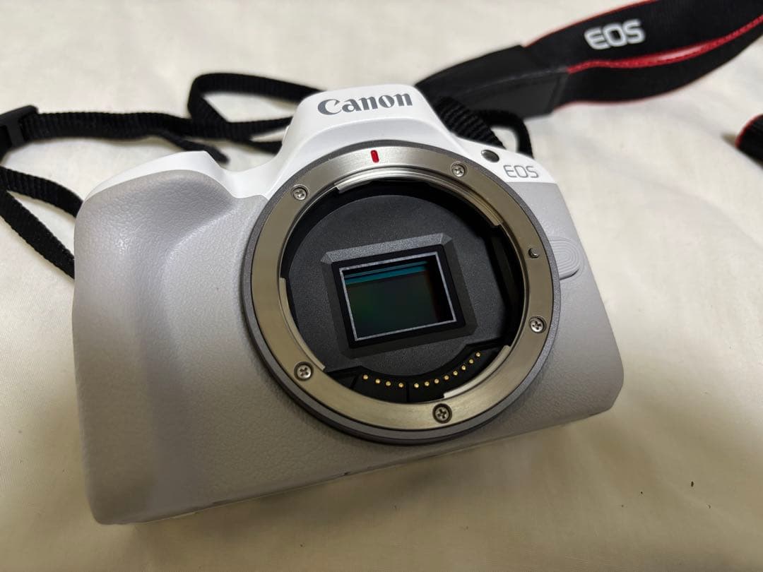 Canon EOS R50 本体+レンズキット