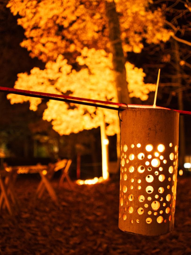 【使用数か月】OLYMPUS PEN E-P7 EZ ボディ+レンズ