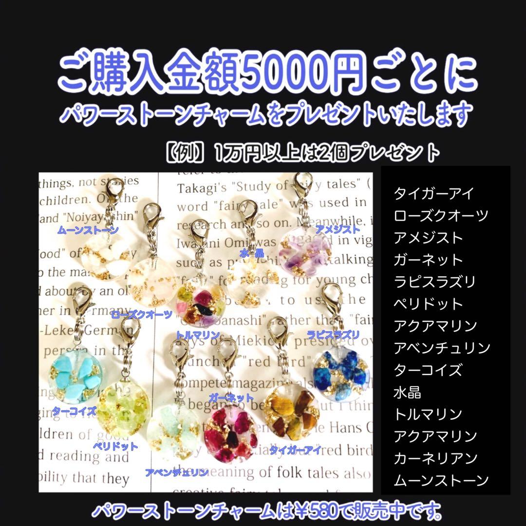 えりんさまオーダー＊白蛇抜け殻入りお守り＊５点