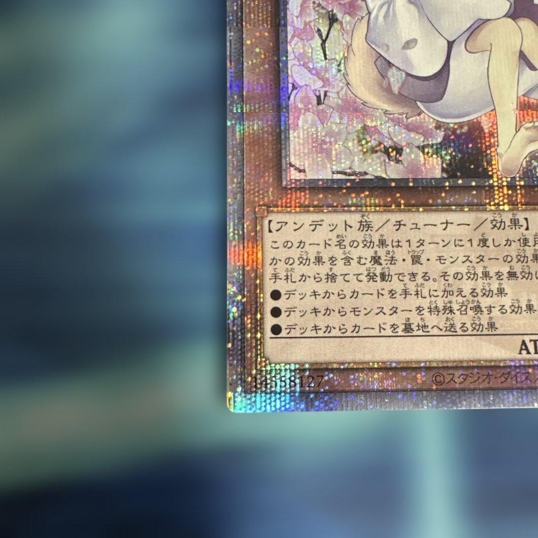 遊戯王　灰流うらら はるうらら　25th 絵違い　クオシク　初期傷あり