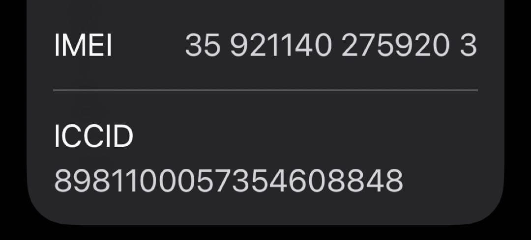 Apple iPhone 17 ブラック ケース付き