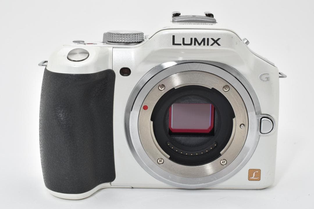 ★並品★ パナソニック LUMIX DMC-G5 ボディ #20825