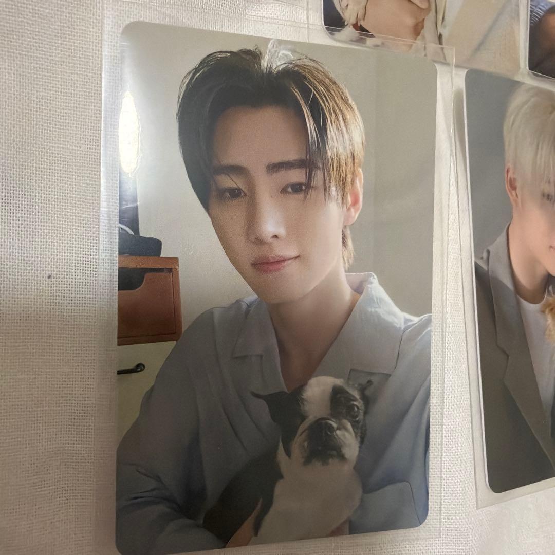 ENHYPEN アンケートトレカ5枚セット