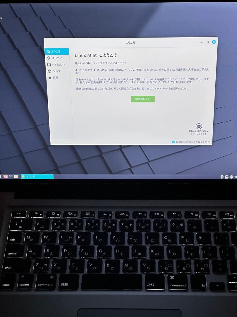 Apple MacBookPro 15 Late2011 平成ジャンク