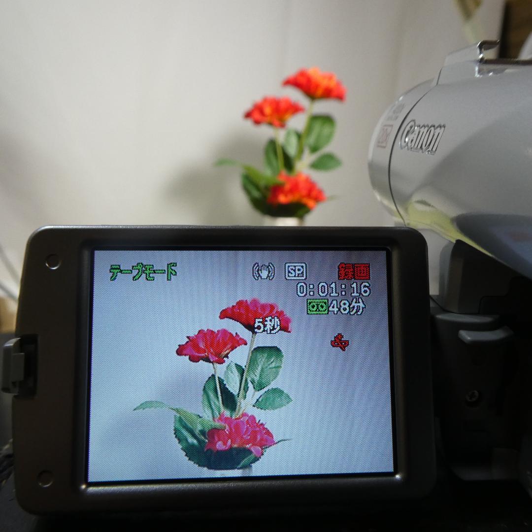 美品・動作良好 キャノン DM-FV M200 MiniDVビデオ DVD化に