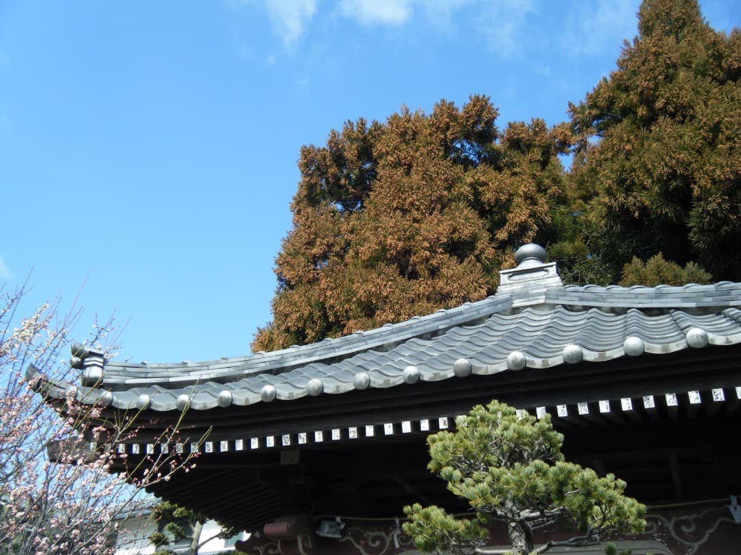 実写美⭕️良品【動作確認済】FUJIFILM 防水 FinePix Z33WP