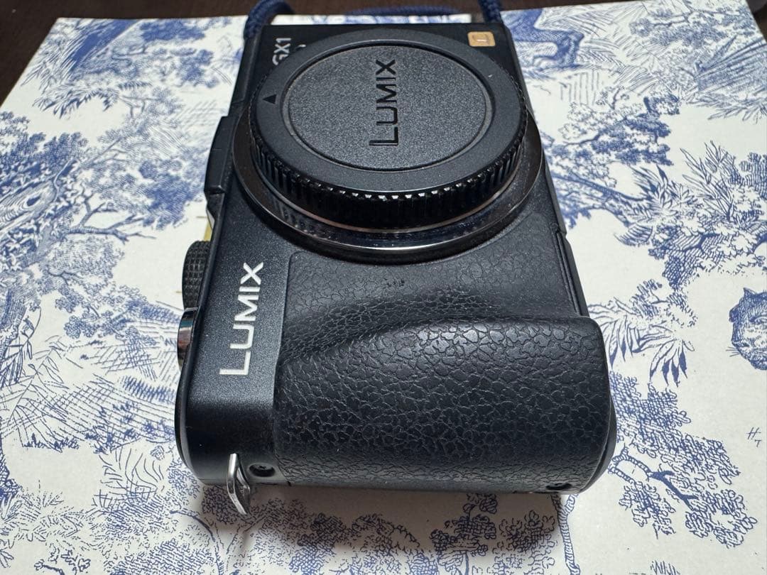 LUMIX GX1 ミラーレス一眼カメラ