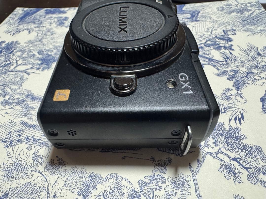 LUMIX GX1 ミラーレス一眼カメラ
