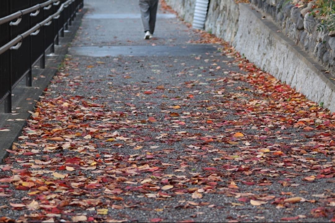 ❤即購入1000円OFF❤ Canon Kiss X7 単焦点 × 超望遠レンズ