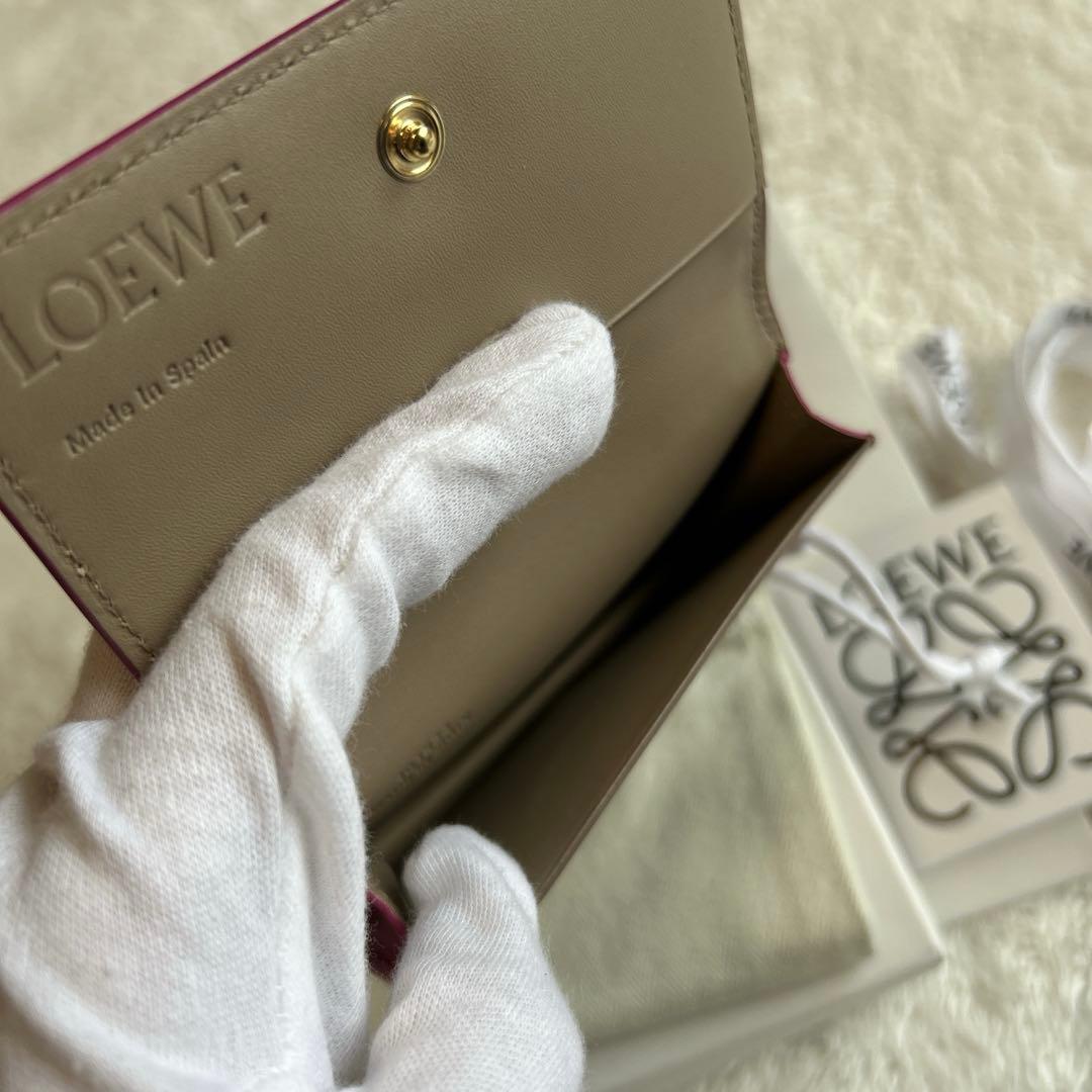 【美品】LOEWE ロエベ カードケース 名刺入れ