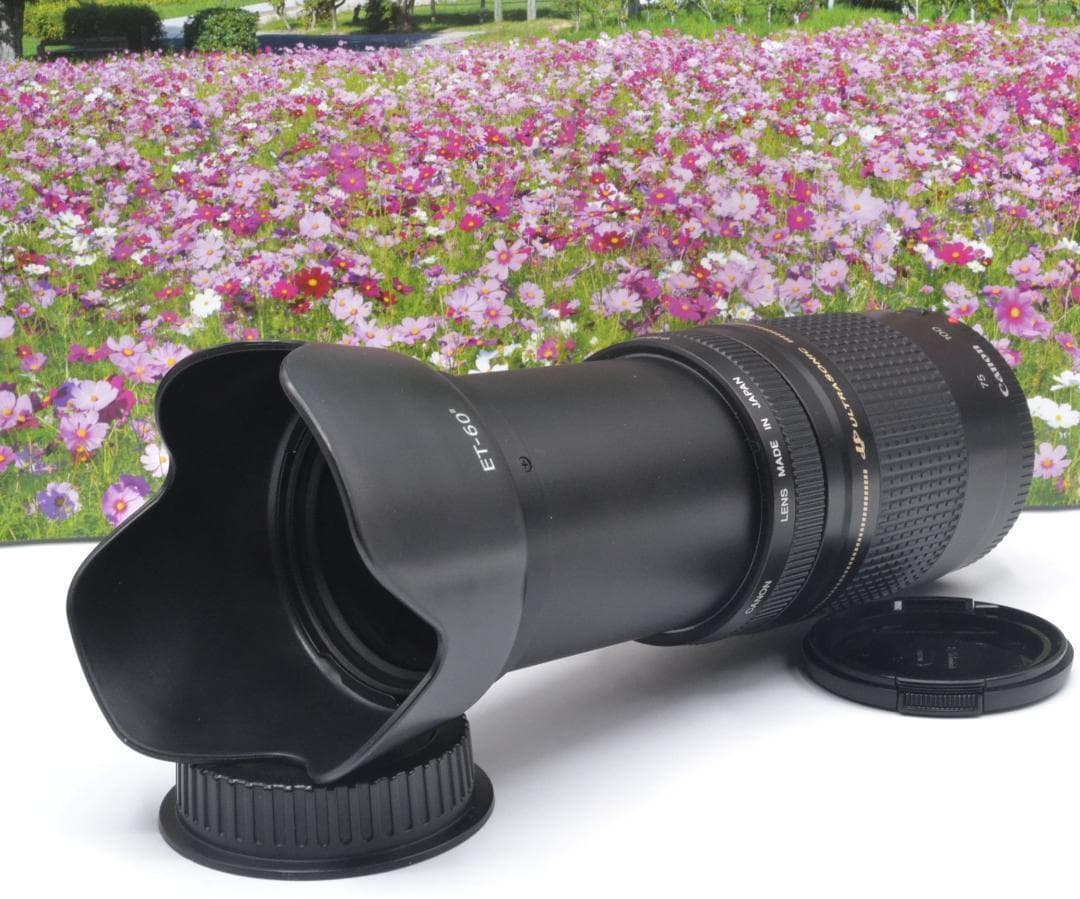 最高の瞬間を望遠で！ Canon キヤノン 望遠レンズ EF75-300mm