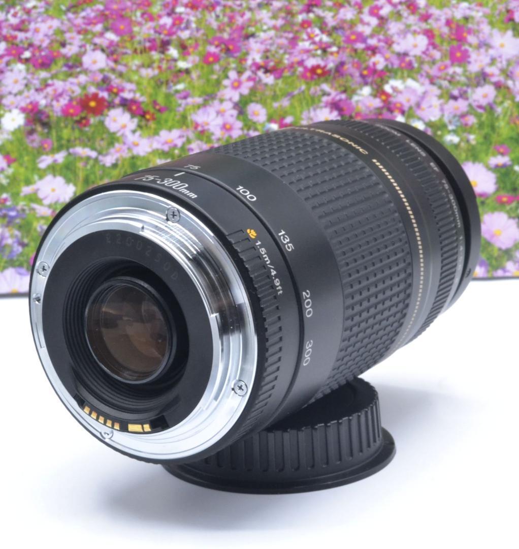 最高の瞬間を望遠で！ Canon キヤノン 望遠レンズ EF75-300mm