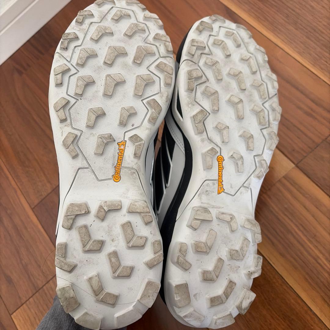 adidas テレックス スカイチェイサー GORE-TEX ハイキング