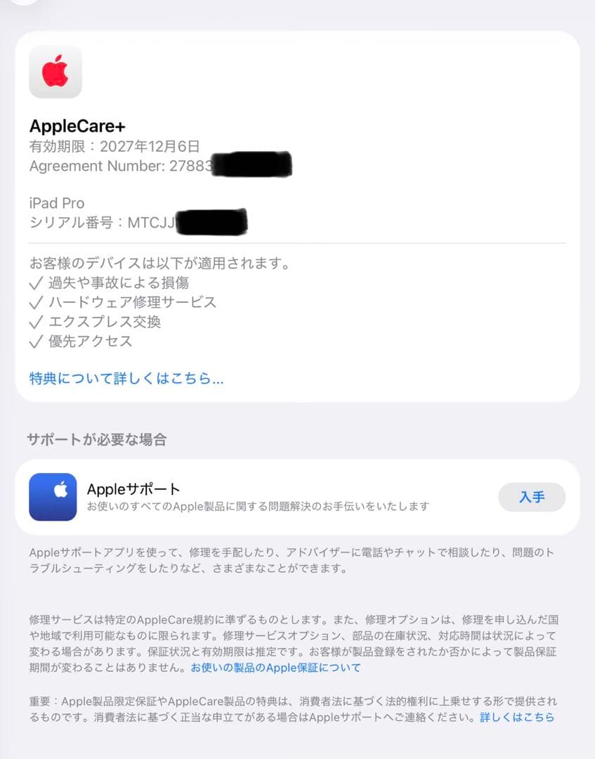 【apple care加入済 残約２年】iPadPro 13インチ 2TB M4