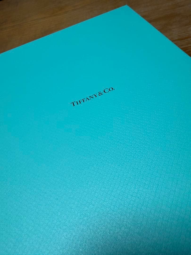 Tiffany & Co. シルバー ハードウェア チェーン ネックレス