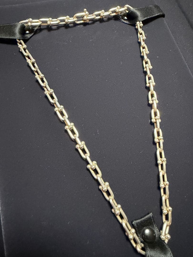 Tiffany & Co. シルバー ハードウェア チェーン ネックレス
