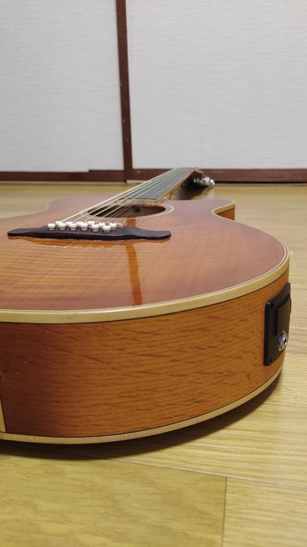 ギター Aria FET12/SPL LVS