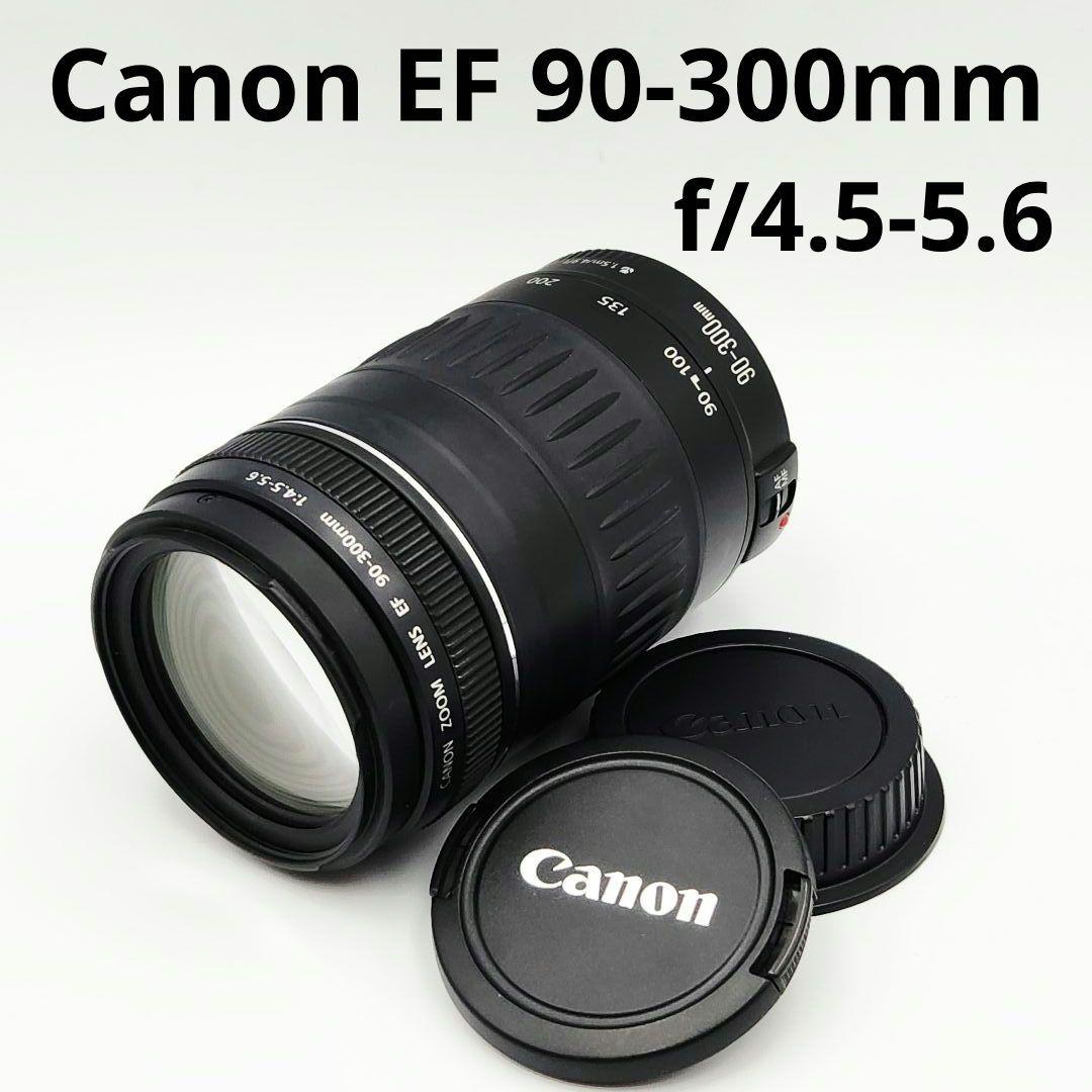 Canon EF 90-300mm f/4.5-5.6 ズームレンズ
