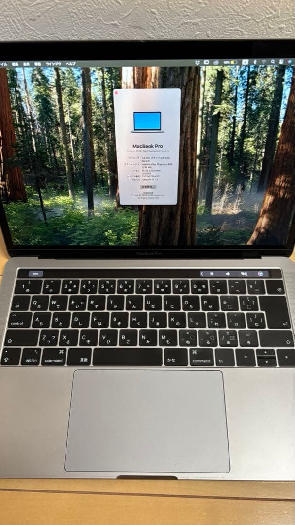 Star　MacBookPro2019 13インチ i5 メモリ16GB