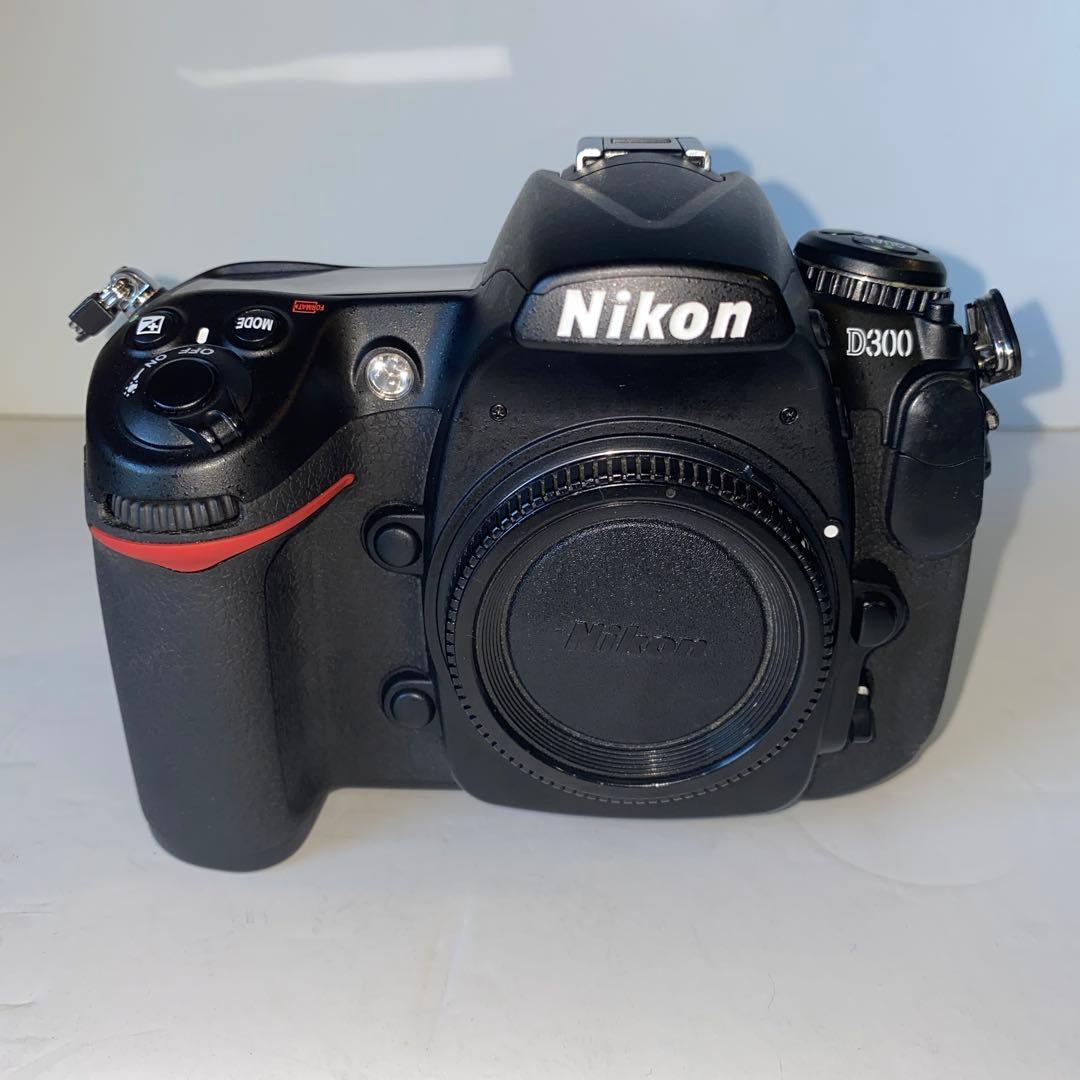 ひ*パ様 NIKON D300 ショット数10.000 ニコン