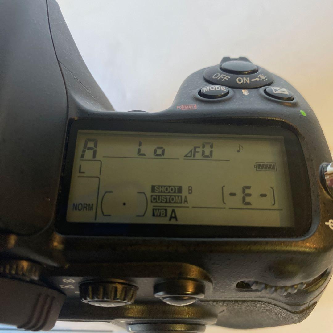 ひ*パ様 NIKON D300 ショット数10.000 ニコン