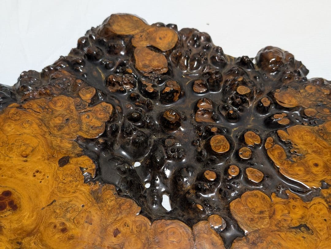 花梨　瘤　玉杢　一枚板　天然木　ちゃぶ台