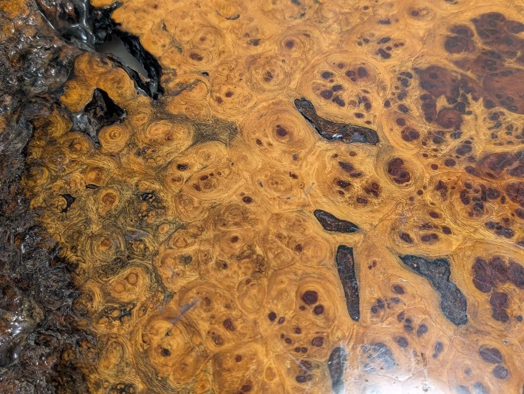 花梨　瘤　玉杢　一枚板　天然木　ちゃぶ台