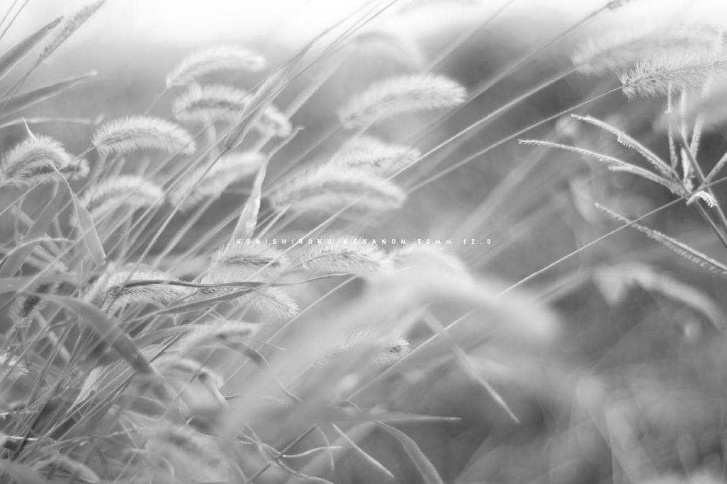 ★レア★ 小西六 HEXANON 50mm F2.0 LMマウント改造レンズ