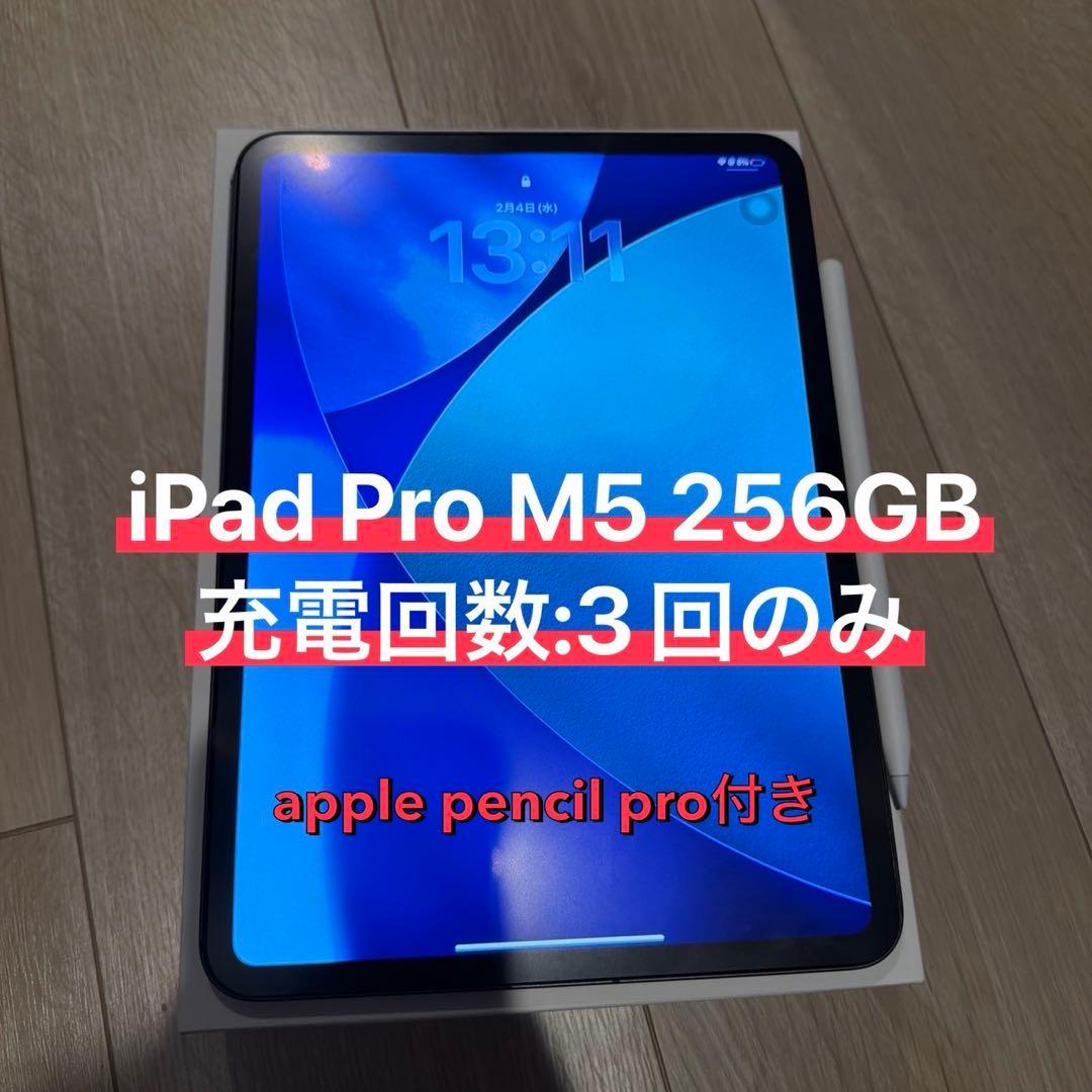 iPad Pro M5 11インチ 256GB Wi-Fi + Cellular
