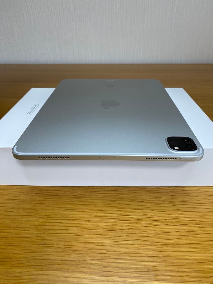 iPad Pro 11インチ第2世代 256GB 動作確認済　iPad 本体