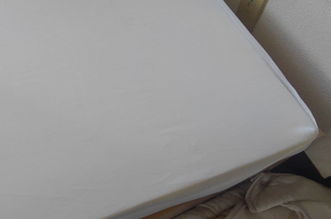 【中古極上品】低反発 トゥルースリーパー プレミアム【 シングルサイズ】