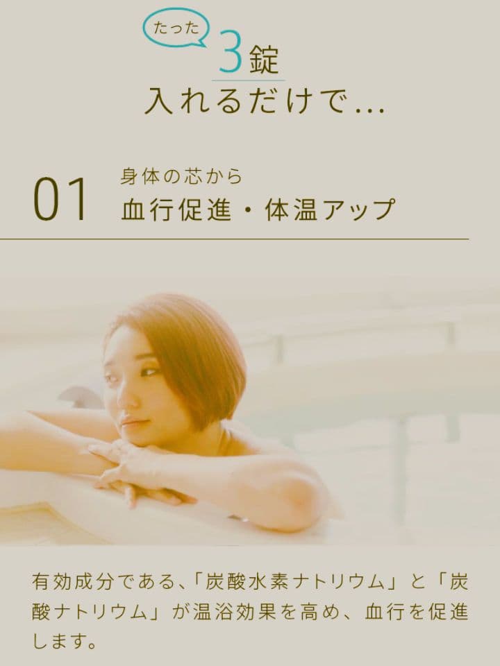 【新品未開封】★健康王の重炭酸バス★2袋　ラブワールドマート